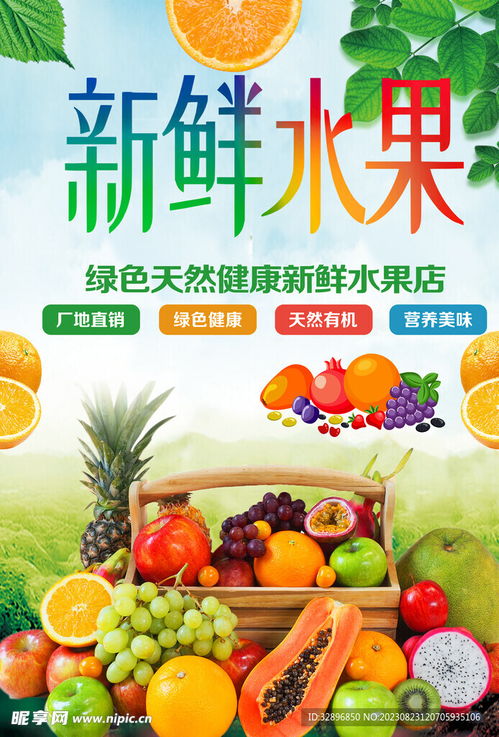 新鲜水果设计图